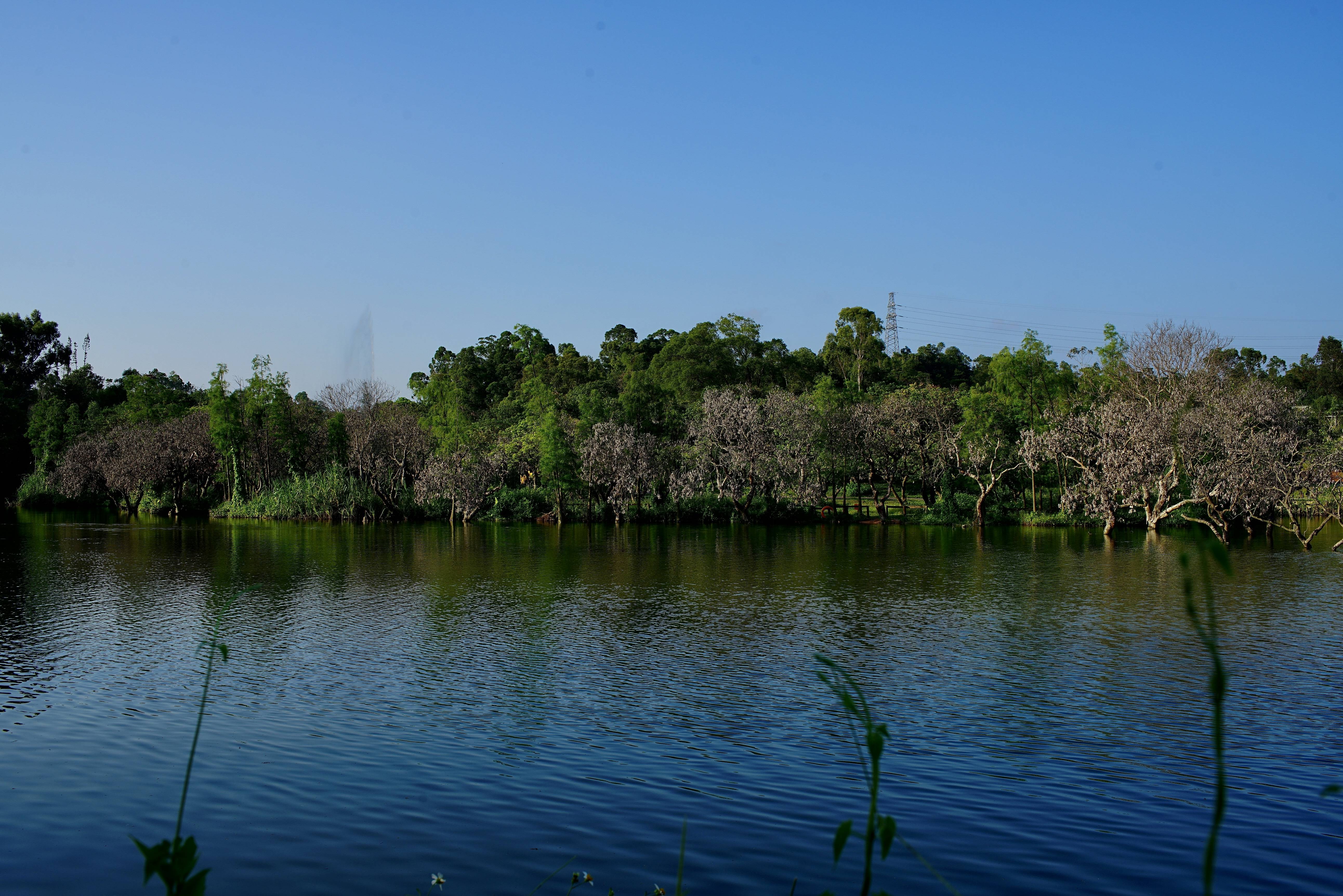 35mm定焦镜头里的眼睛香山湖公园美景