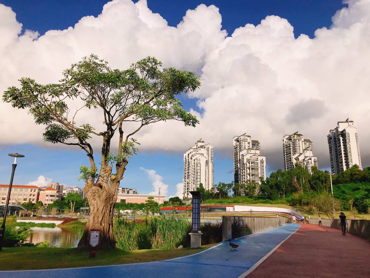 香山湖公园二期开放太美啦!