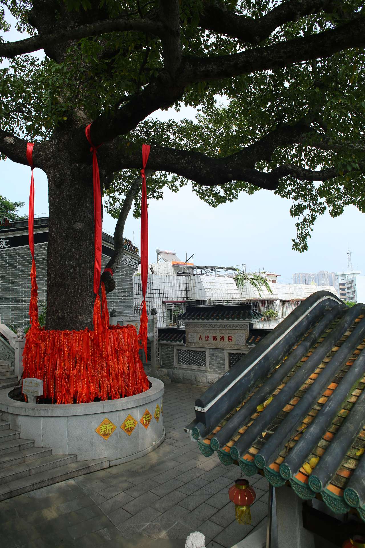 白衣古寺…西山寺之旅