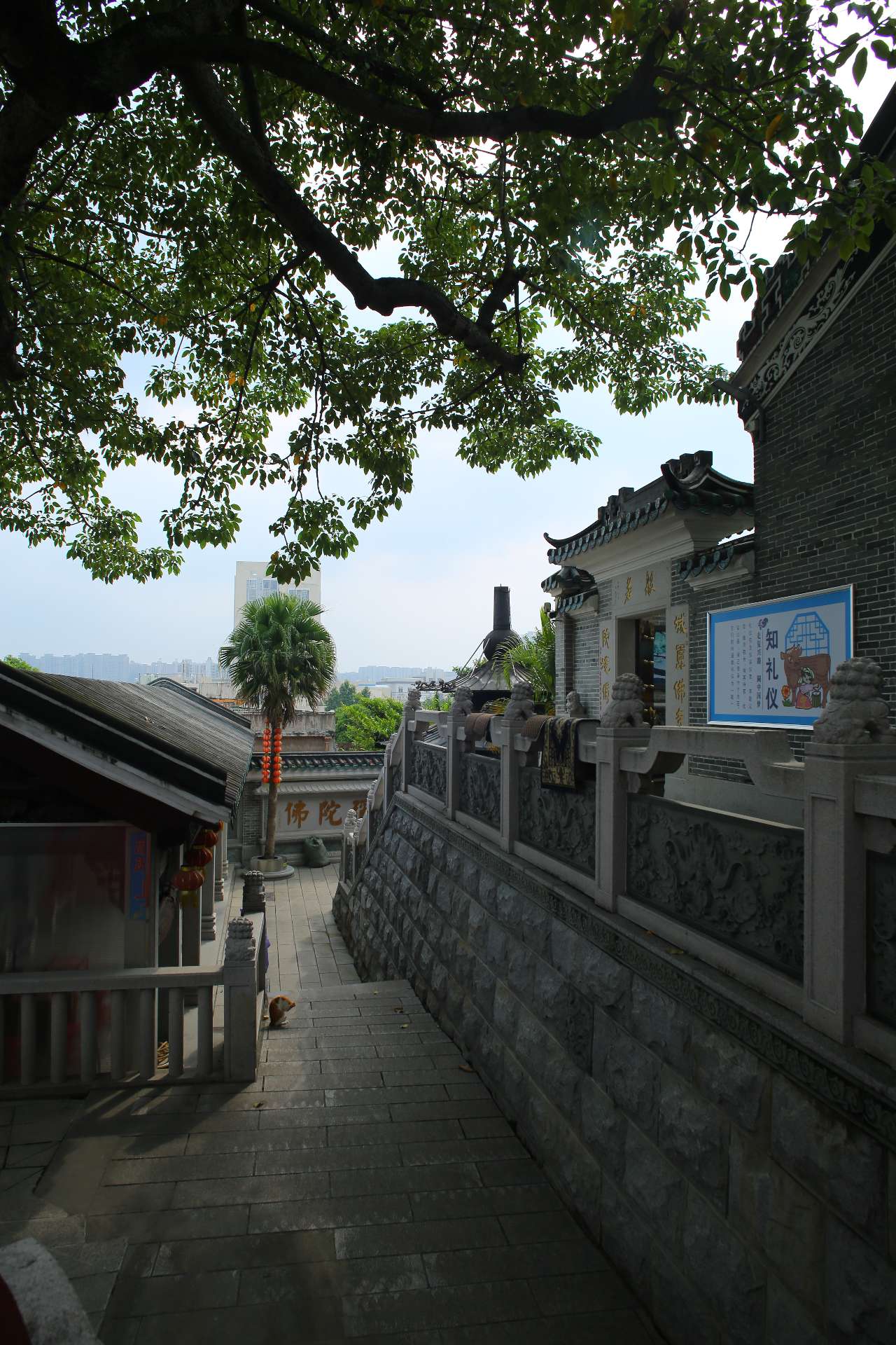 白衣古寺…西山寺之旅