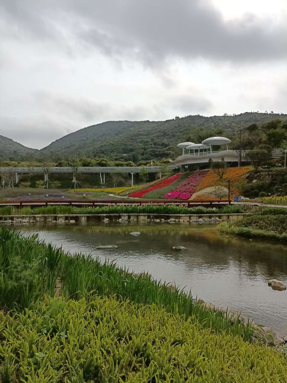 三灶木头冲村珠海新的网红打卡地值得一游
