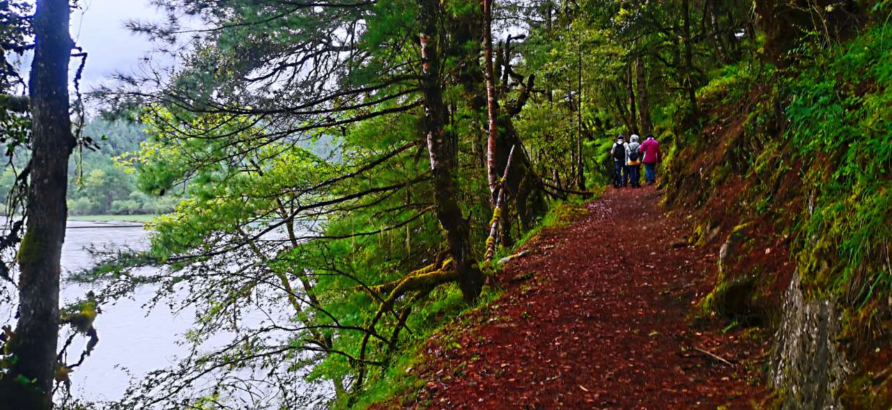 圆梦之旅岗云杉林徒步