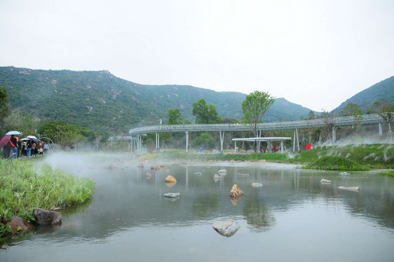 打卡木头冲鹤道花海
