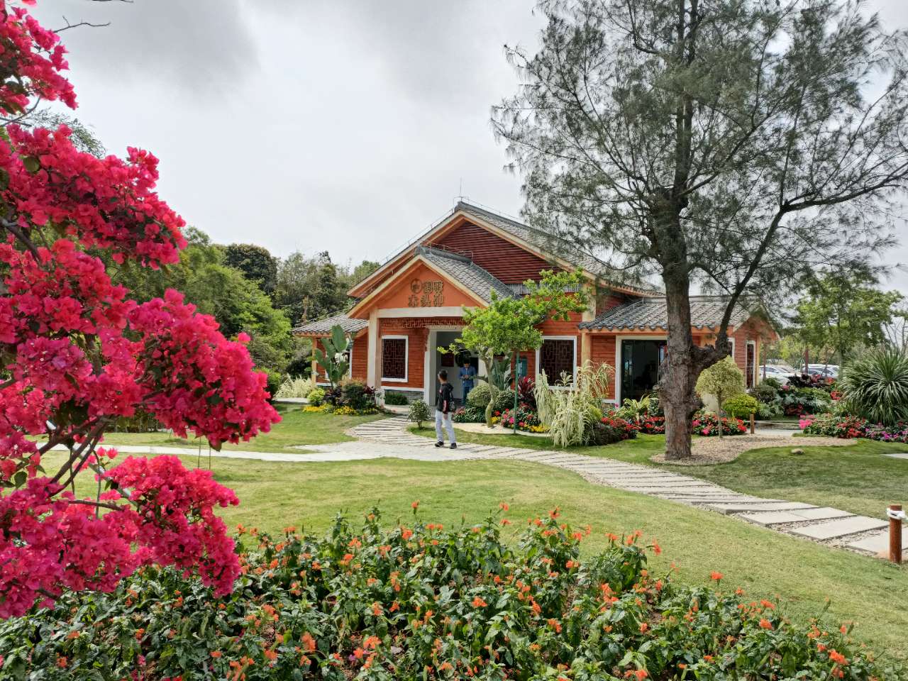 三灶木头冲村珠海新的网红打卡地值得一游